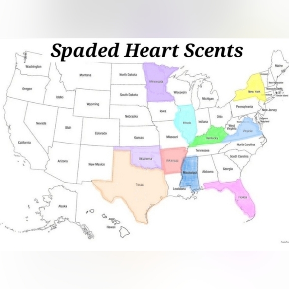 Handcrafted Wax Melts/ Car freshners - Picture 2 of 8